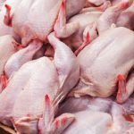 افزایش مصرف گوشت مرغ در کشور