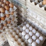 تخم مرغ شانه‌ای ۴۸ هزار تومان شد / علت گرانی چیست؟