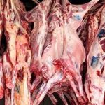 دولت به واردکنندگان گوشت یارانه می‌دهد