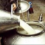 قیمت شیر خام ۲۰ درصد افزایش یافت