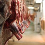 مردم نگران عرضه گوشت قرمز در آخر سال نباشند
