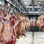 واردات گوشت قرمز افزایش یافت