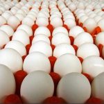 واردات ۶۶ هزار تن تخم‌مرغ