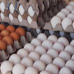 بازار داغ تخم‌مرغ شکسته؛ ماجرا چیست؟