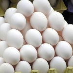 ثبات نسبی قیمت تخم‌مرغ در بازار